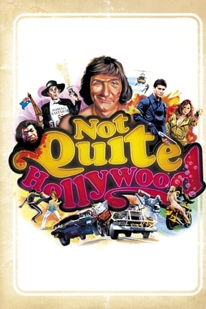 不十分好莱坞,Not Quite Hollywood(2008电影)