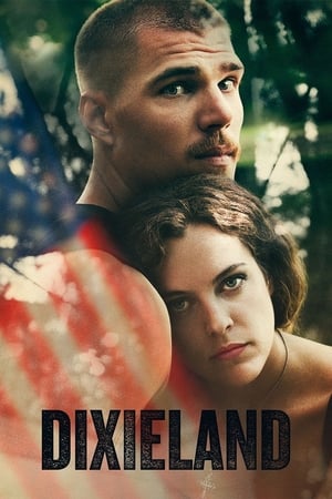 南方,Dixieland(2015电影)