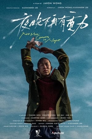 夜晚不再有重力(2024电影)