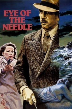 针眼,Eye of the Needle(1981电影)