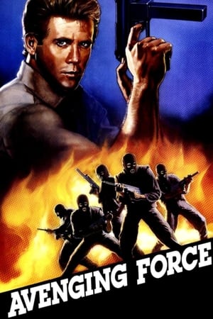 燃烧的蛟龙,Avenging Force(1986电影)