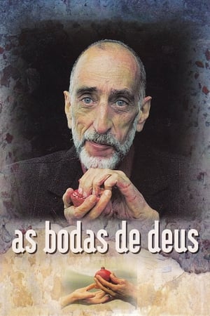 上帝的婚礼,As B<em>o</em>das de Deus(1999电影)