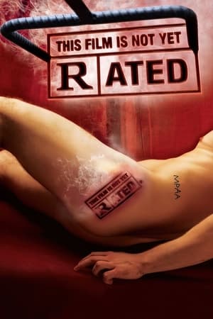 影片未分级,This Film Is Not Yet Rated(2006电影)