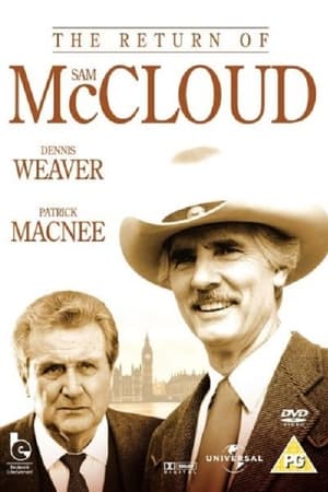The Return of Sam McCloud海报