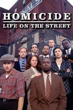 情理法的春天,Homicide: Life on the Street(1993电视剧集)