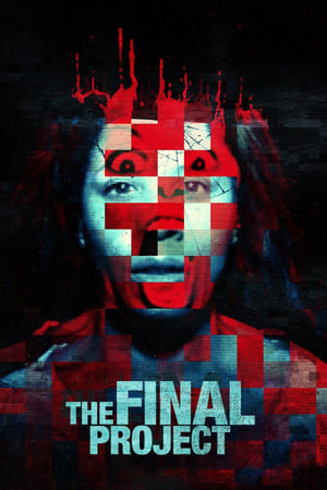 最终项目,The Final Project(2016电影)
