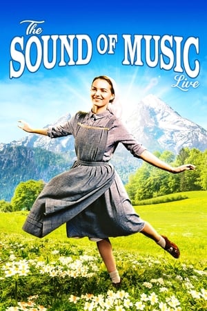 音乐之声(ITV直播版),The Sound of Music Live!(2015电影)