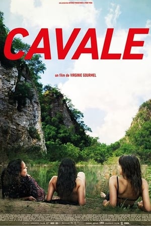 Cavale电影海报