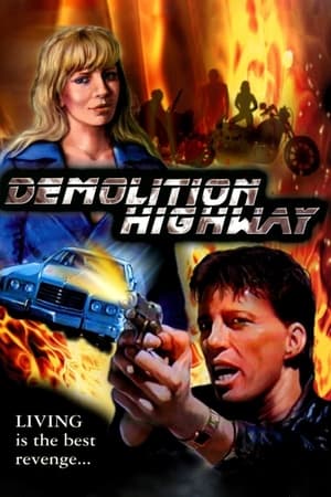 劫匪莫入,Demolition Highway(1996电影)