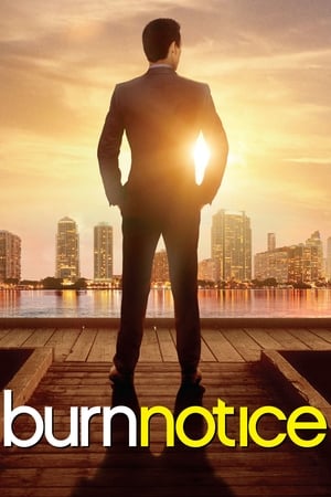 火线警告,Burn Notice(2007电视剧集)