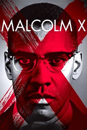 黑潮,Malcolm X(1992电影)