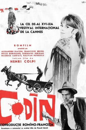 科迪内,Codin(1963电影)