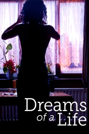一段生活之梦,Dreams of a Life(2011电影)