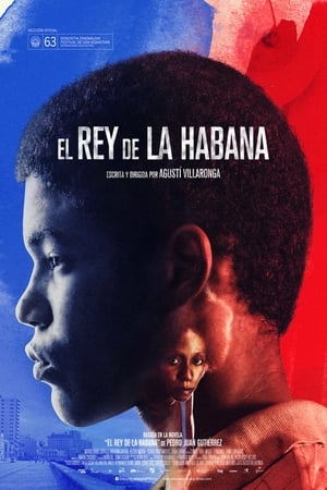 哈瓦那之王,El Rey de La Habana(2015电影)