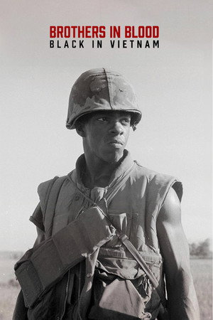 Brothers in Blood: Black in Vietnam海报