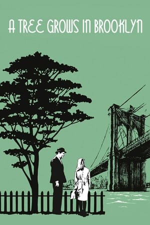 长春树,A Tree Grows in Brooklyn(1945电影)