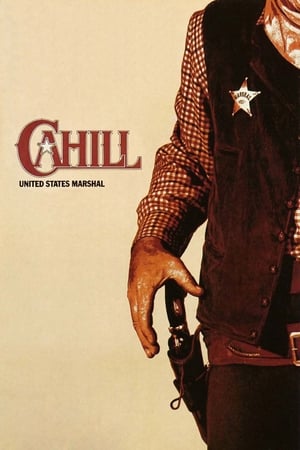 父子三英豪,<em>Cahill</em>: United States Marshal(1973电影)