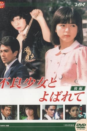 不良少女とよばれて(1984电视剧集)