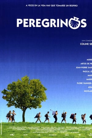 朝圣之路,Saint-Jacques… La Mecque(2005电影)
