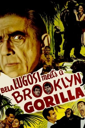 贝拉卢高希遇上布鲁克林的大猩猩,<em>Bela</em> <em>Lugosi</em> Meets a Brooklyn Gorilla(1952电影)