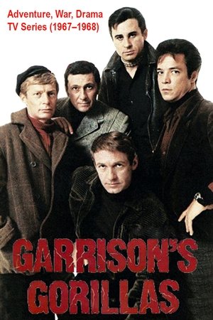 加里森敢死队,Garrison's Gorillas(1967电视剧集)