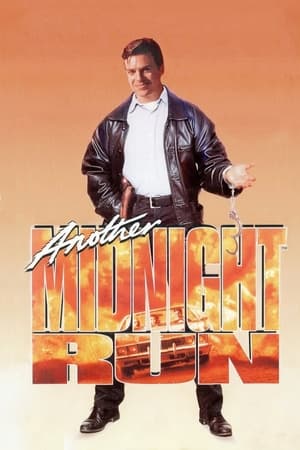 新午夜狂奔,Another Midnight Run(1994电影)