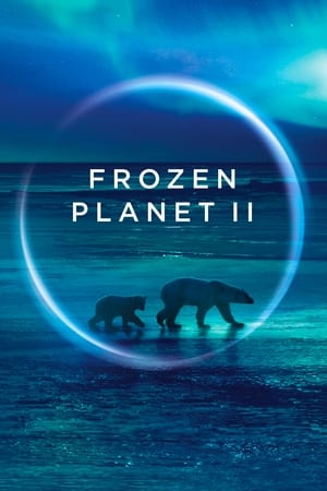 冰冻星球2,Frozen Planet II(2022电视剧集)