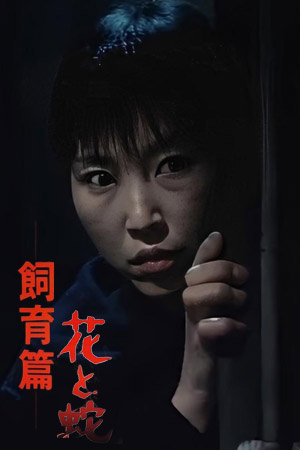 花与蛇：饲育篇