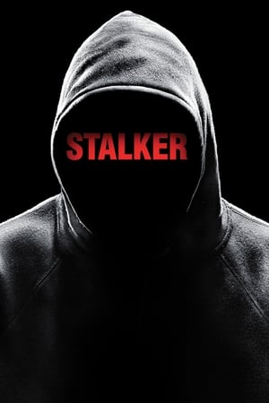跟踪者,Stalker(2014电视剧集)