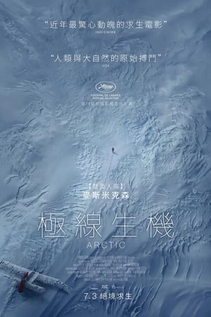 北极电影海报