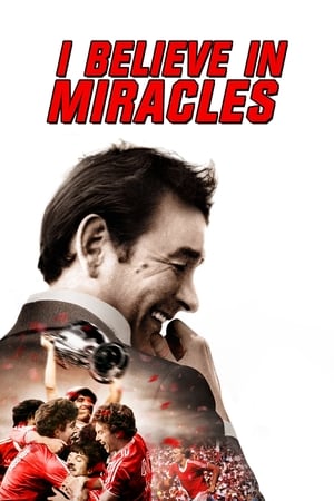 我相信奇迹,I Believe in Miracles(2015电影)