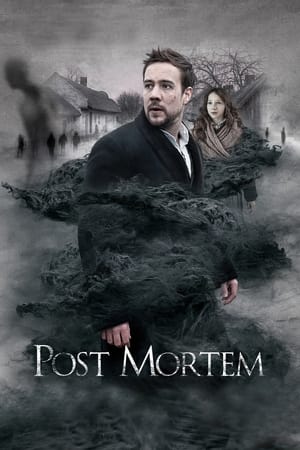 身后事,Post Mortem(2020电影)