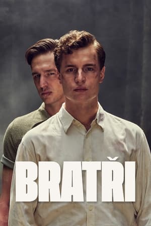 革命兄弟,Bratři(2023电影)