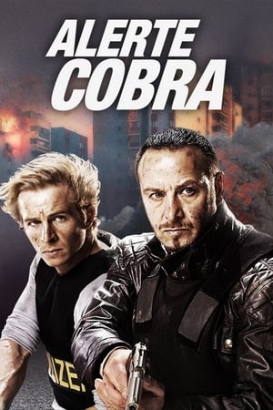 极速特警,Alarm für Cobra 11 - Die Autobahnpolizei(1996电视剧集)