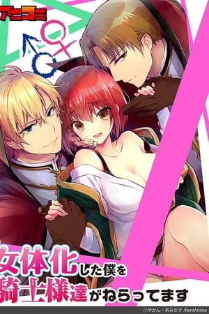 女体化した僕を騎士様達がねらってます