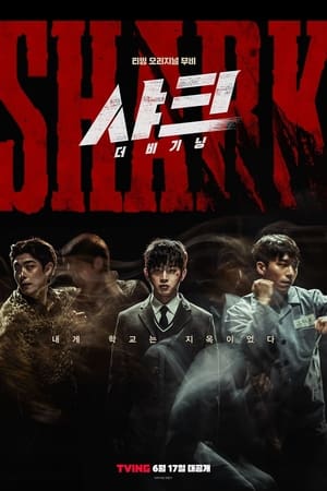 鲨鱼：起点