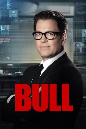 庭审专家,Bull(2016电视剧集)