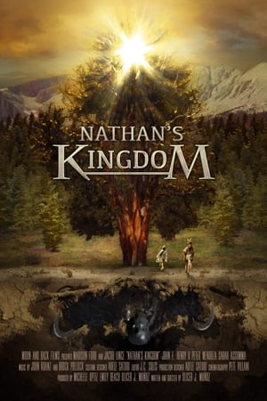 内森的王国,Nathan's Kingdom(2020电影)