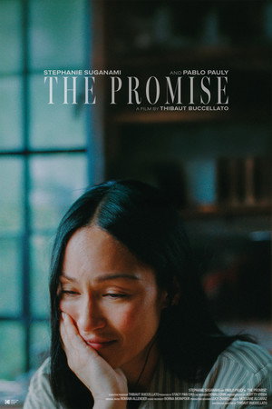 The Promise海报