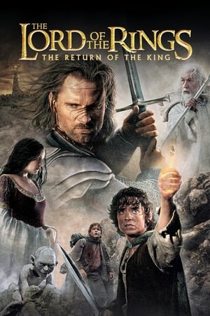 指环王3：王者无敌,The Lord of the Rings: The Return of the King(2003电影)