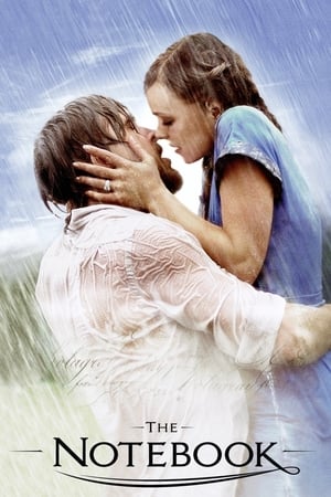 恋恋笔记本,The Notebook(2004电影)