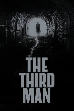 第三人,The Third Man(1949电影)