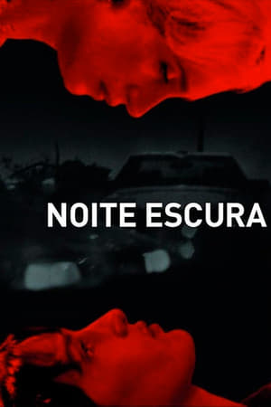 在夜的黑暗中,Noite Escura(2004电影)