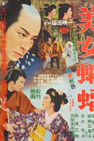伝七捕物帖 美女蝙蝠