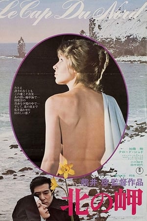北の岬(1976电影)