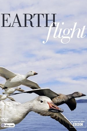 BBC 鸟瞰地球,Earthflight(2013电影)
