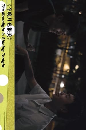 今晚月色很美(2022电影)