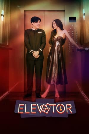 电梯情缘,Elevator(2024电影)