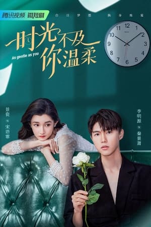 时光不及你温柔(2022电视剧集)
