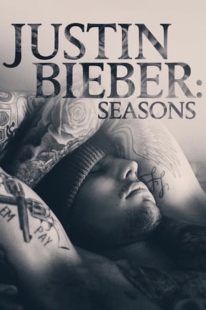 贾斯汀·比伯：四季,Justin Bieber: Seasons(2020电视剧集)